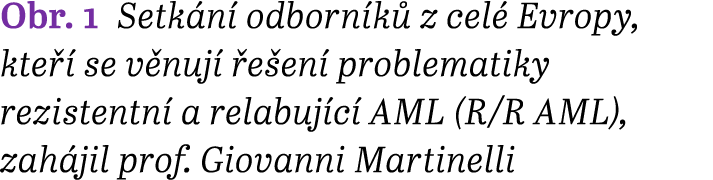 Obr. 1 Setk n odborn k  z cel  Evropy, kte   se v nuj   e en  problematiky rezistentn  a relabuj c  AML (R/R AML), z...