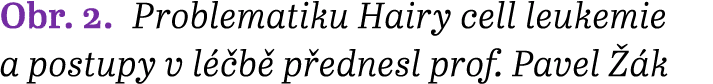 Obr. 2. Problematiku Hairy cell leukemie a postupy v l b  p ednesl prof. Pavel   k