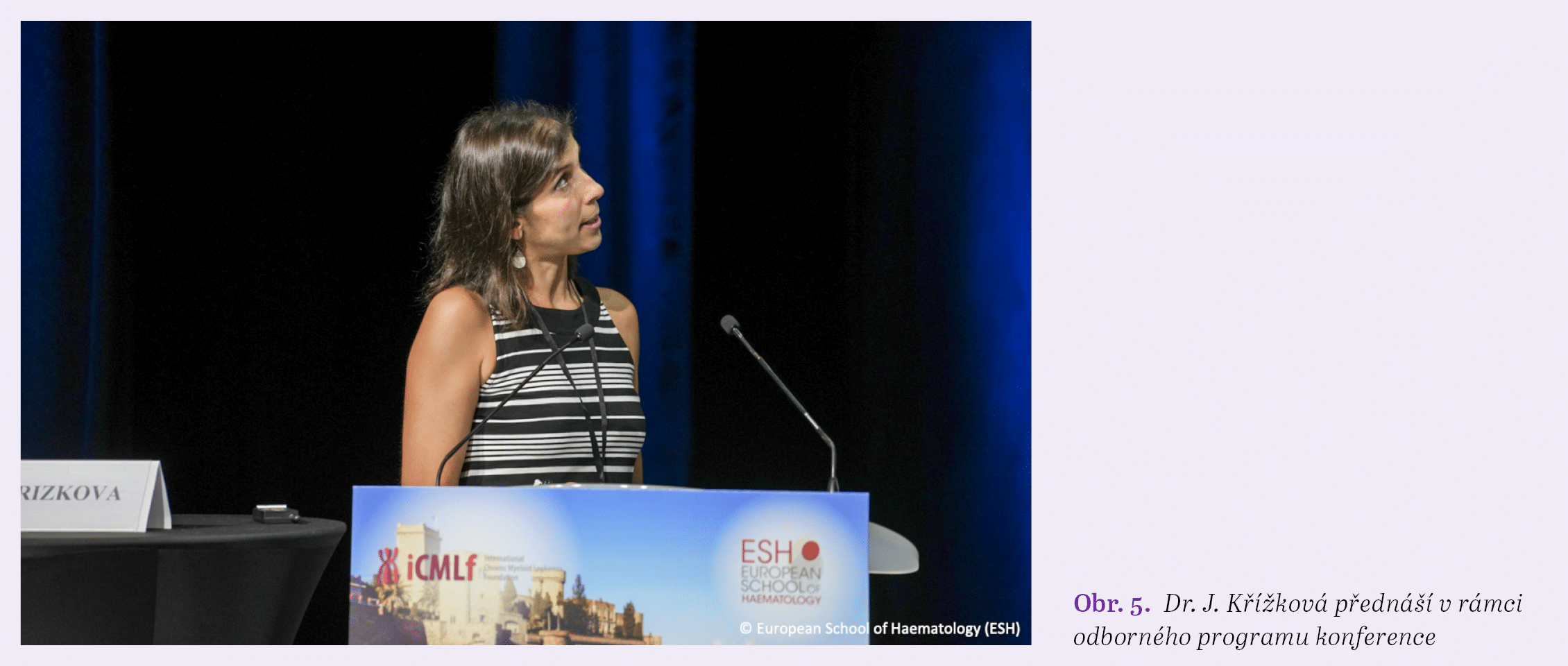 Obr. 5. Dr. J. K  kov  p edn    v r mci odborn ho programu konferenc