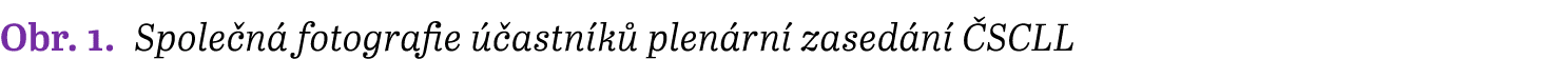 Obr. 1. Spole n fotografie   astn k  plen rn  zased n   SCLL